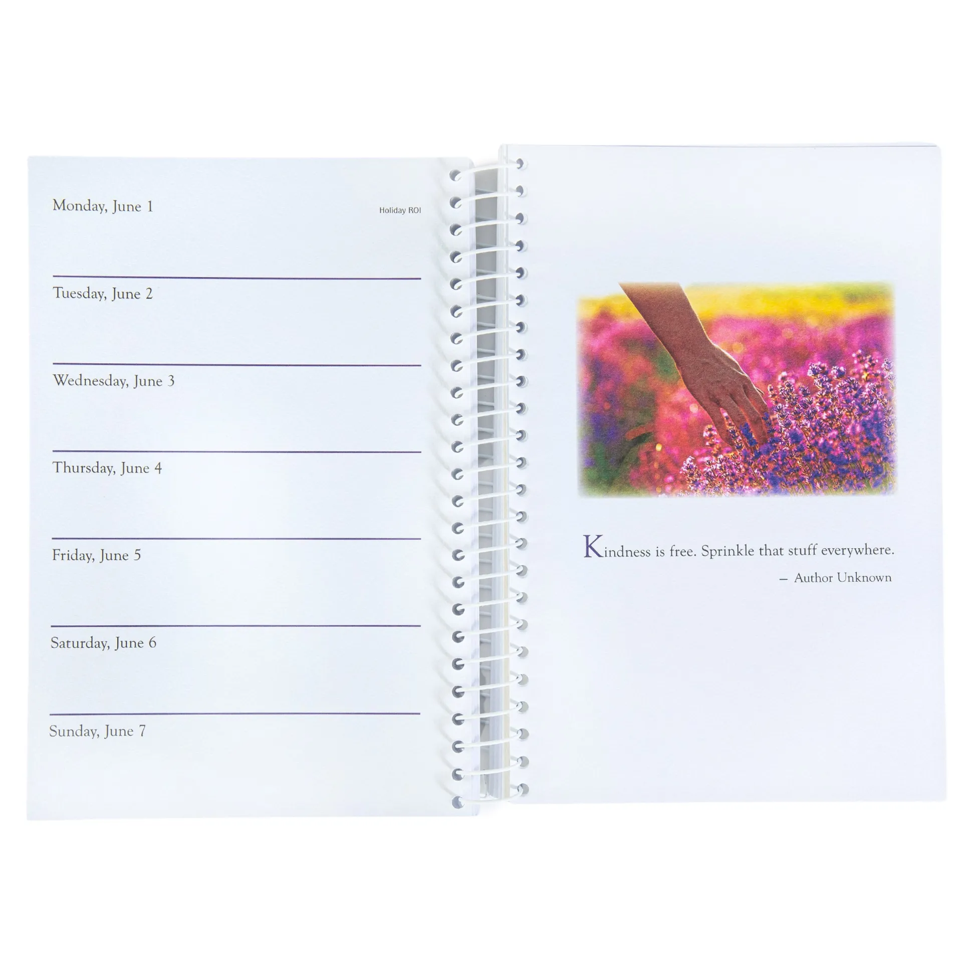 Daily Diary 2026, Weekly Planner With Inspirational Quotes - Blue Mountain Arts Collection 6 x 8 Inches Journal