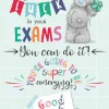 Me To You Tatty Teddy Good Luck In Your Exams Greeting Card 5x7ins - Official Collection
