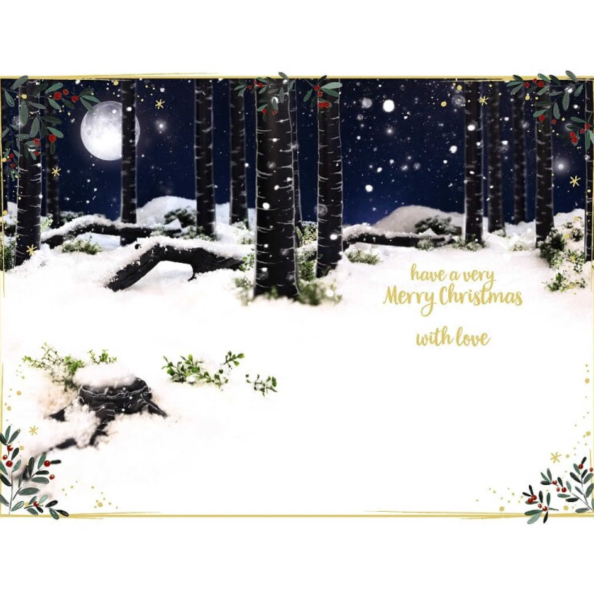 Me to You Tatty Teddy 'Someone Special' 3D Christmas Card