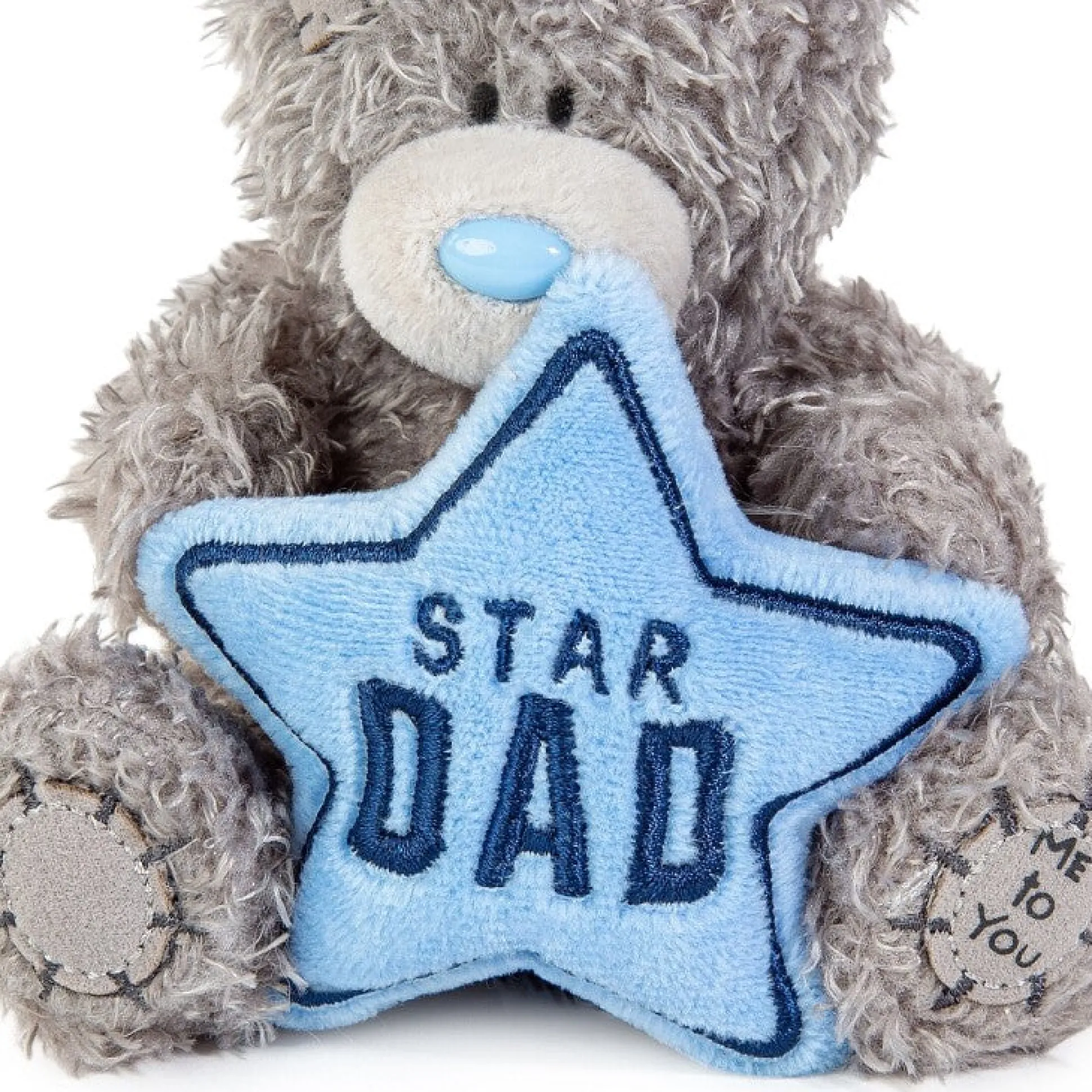 Tatty Teddy 'Star Dad' Bear