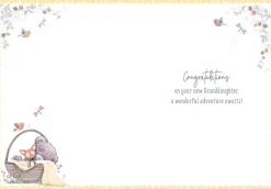 Tiny Tatty Teddy 'A New Wonderful Granddaughter' Card
