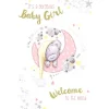 Tiny Tatty Teddy Baby Girl Welcome to The World Card
